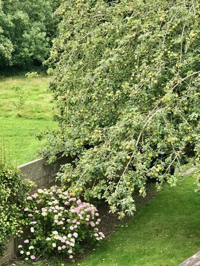 Fox View Guesthouse Bristol Eksteriør billede